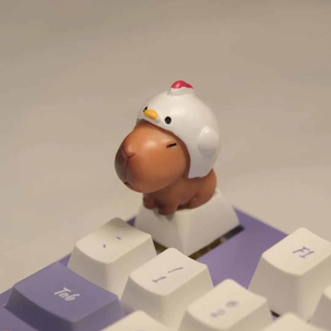 Capuchons Capybara en situation