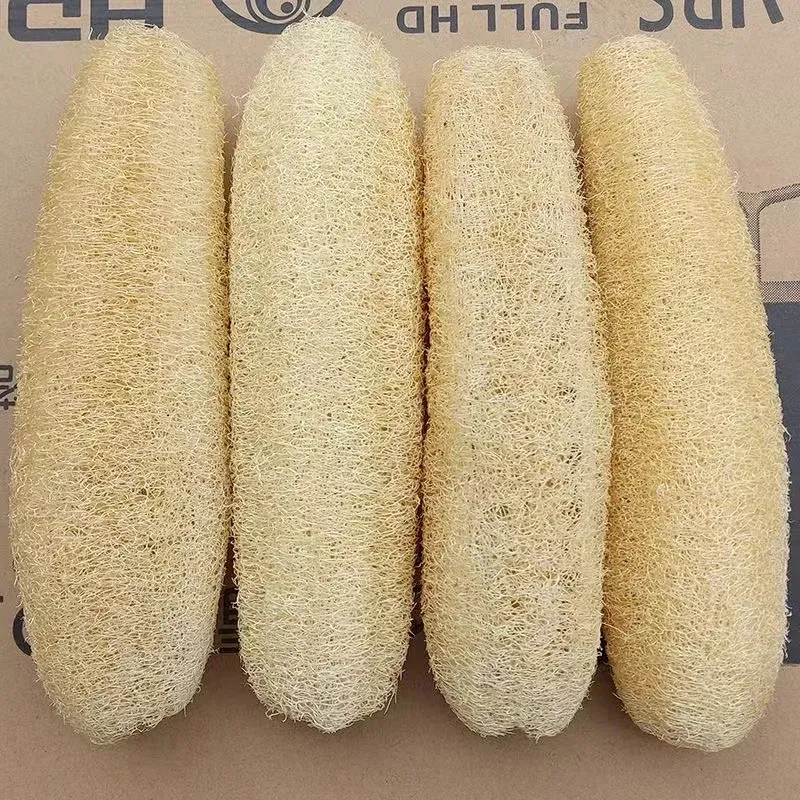 Éponge loofah naturelle (lot de 3), outil de nettoyage multi-usages pour la cuisine, éponge à vaisselle, longue éponge de douche exfoliante - Image 1