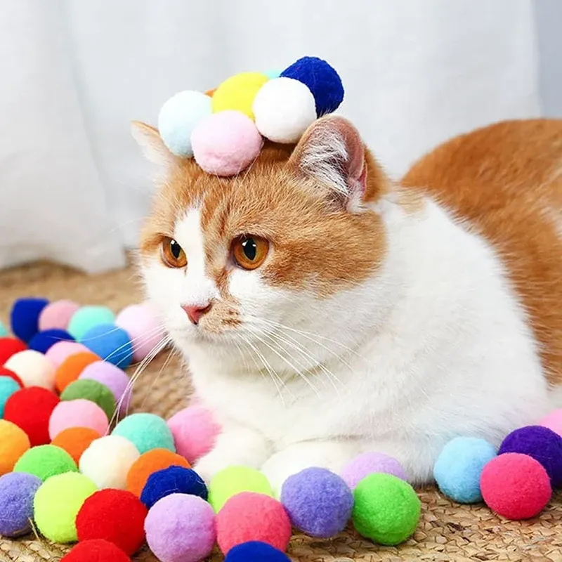 Accessoire ludique pour animal de compagnie