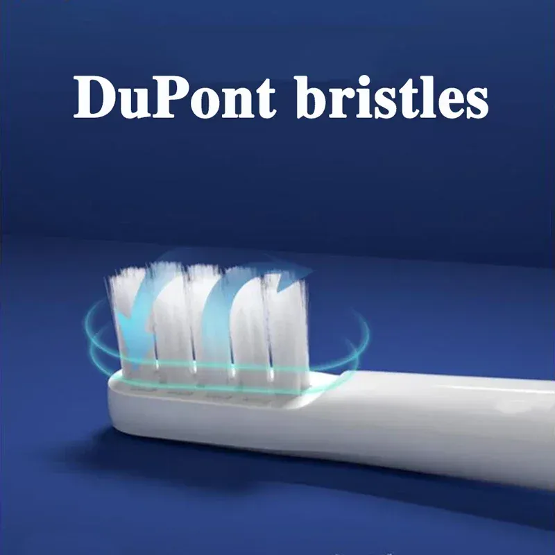 Têtes de brosse de rechange en gros plan