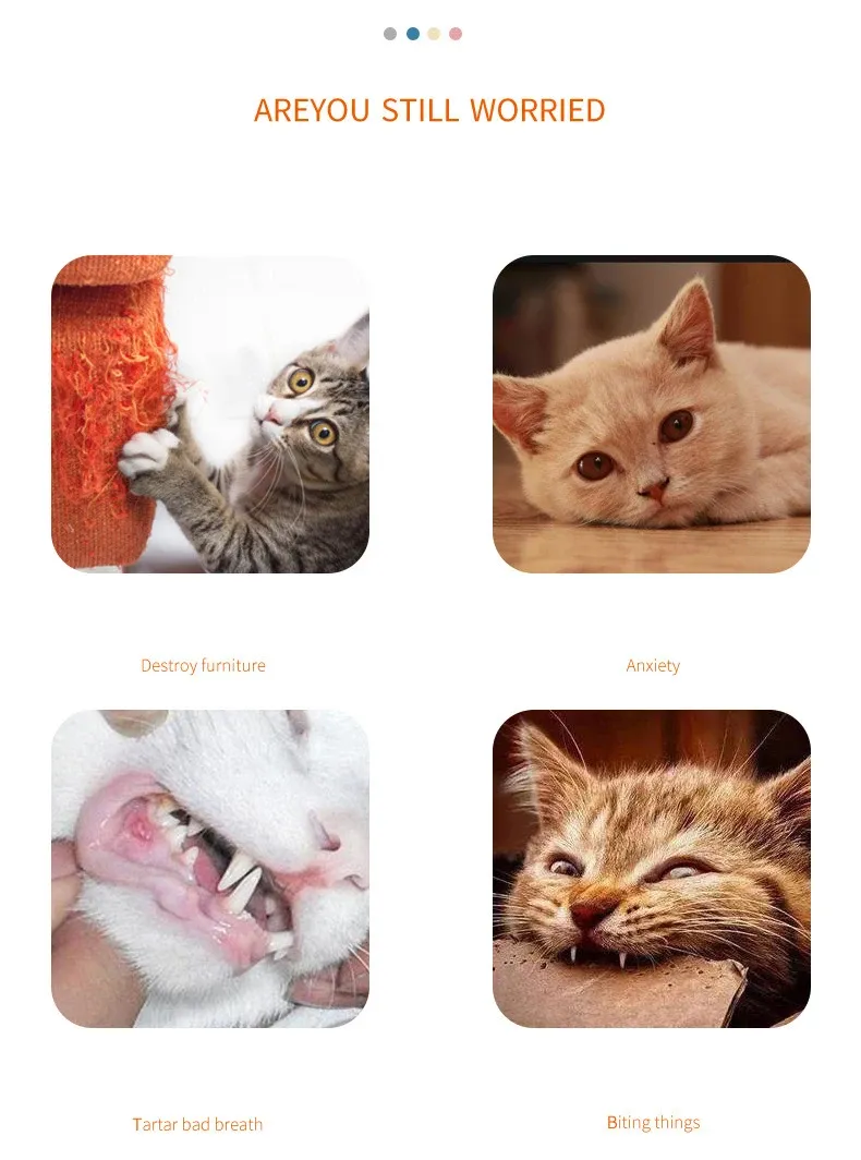 Jouet interactif pour chat en situation de jeu