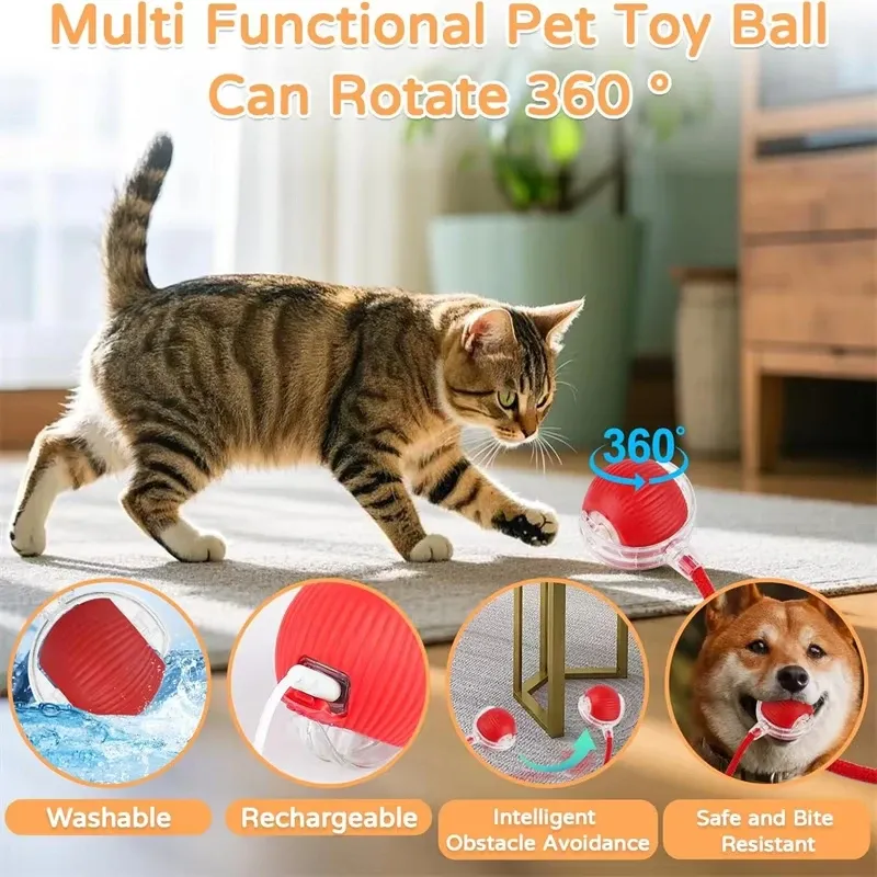 Jouet interactif automatique pour chat avec fausse queue imitant une souris, rechargeable 3