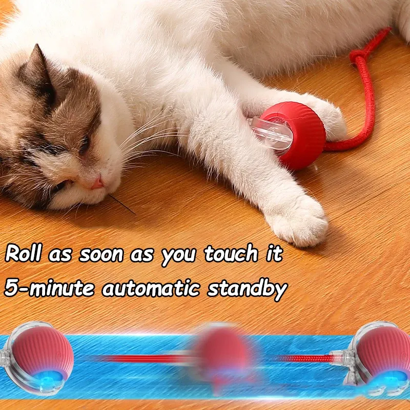 Jouet interactif automatique pour chat avec fausse queue imitant une souris, rechargeable 4