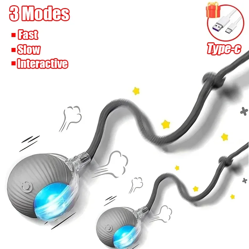 Jouet interactif automatique pour chat avec fausse queue imitant une souris, rechargeable 21
