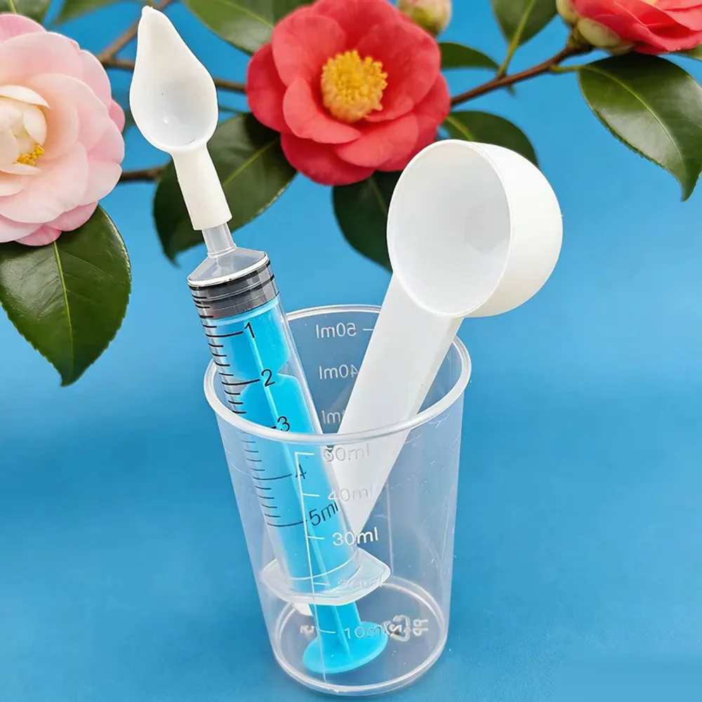 Cuillère d'alimentation pour oiseaux sous un autre angle