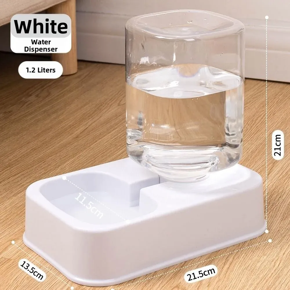 Mangeoire automatique pour animaux de compagnie, en situation