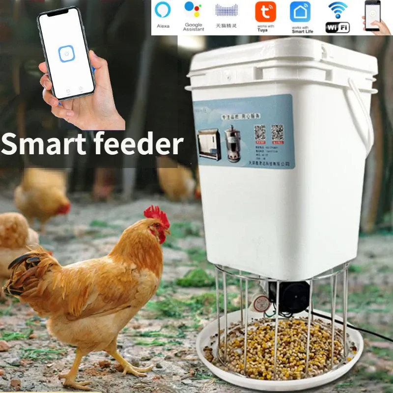 Mangeoire automatique intelligente pour poulets, pigeons et canards