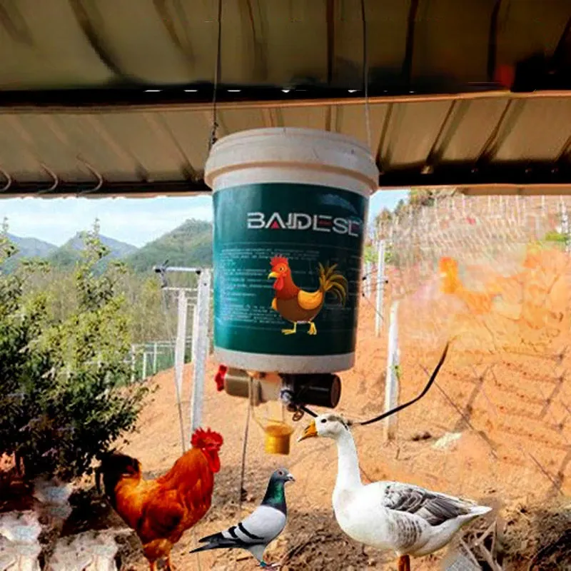 Mangeoire automatique intelligente pour poulets, pigeons et canards 3