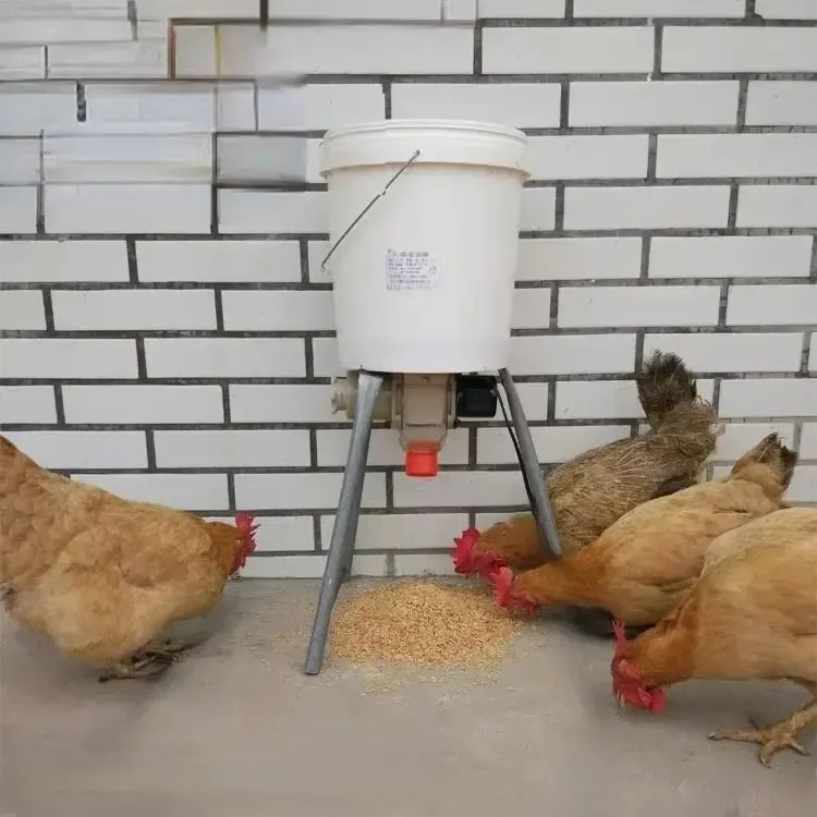 Mangeoire automatique intelligente pour poulets, pigeons et canards 2