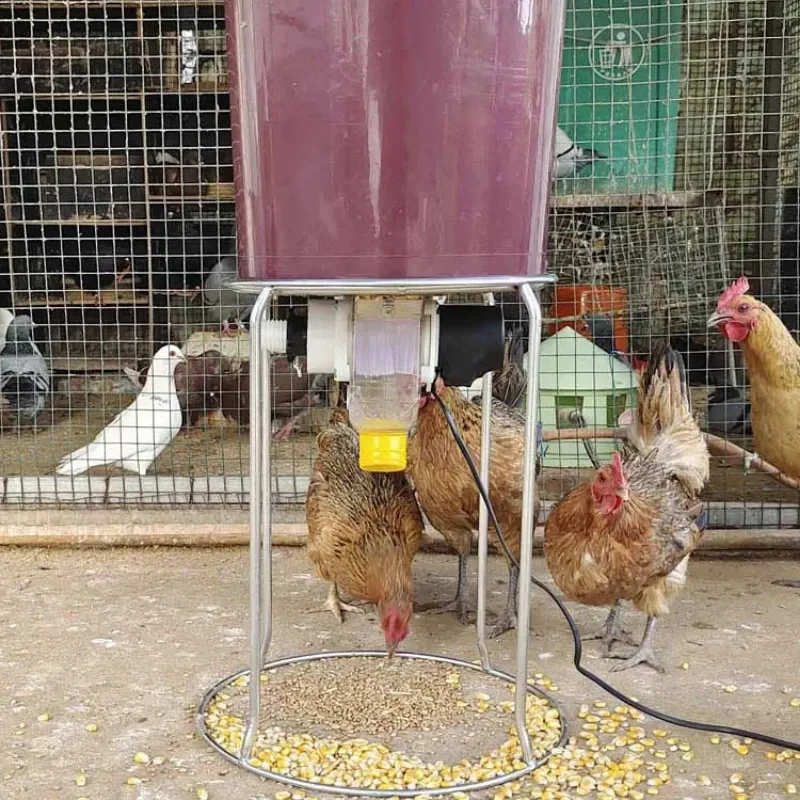 Mangeoire automatique intelligente pour poulets, pigeons et canards 6
