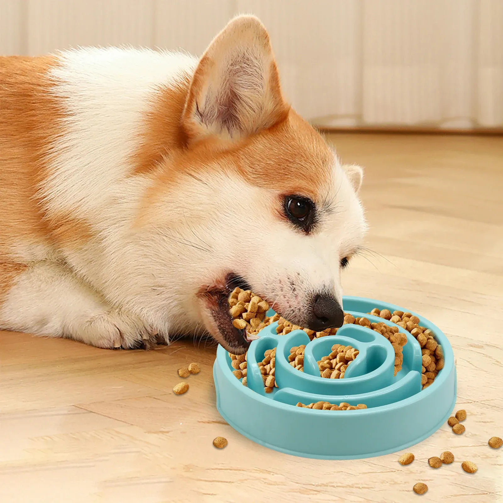 Bol à alimentation lente, finition soignée