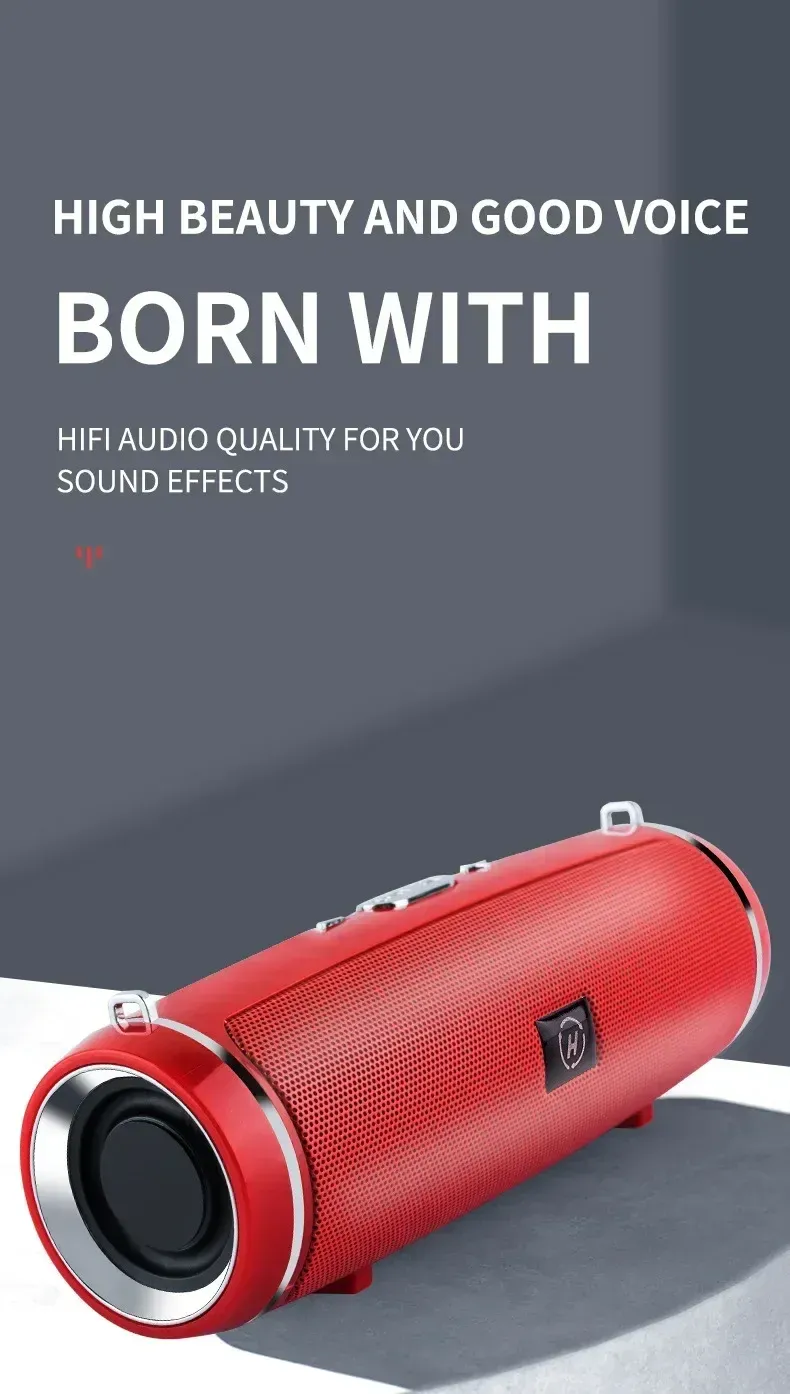 Enceinte sans fil portable, vue détaillée