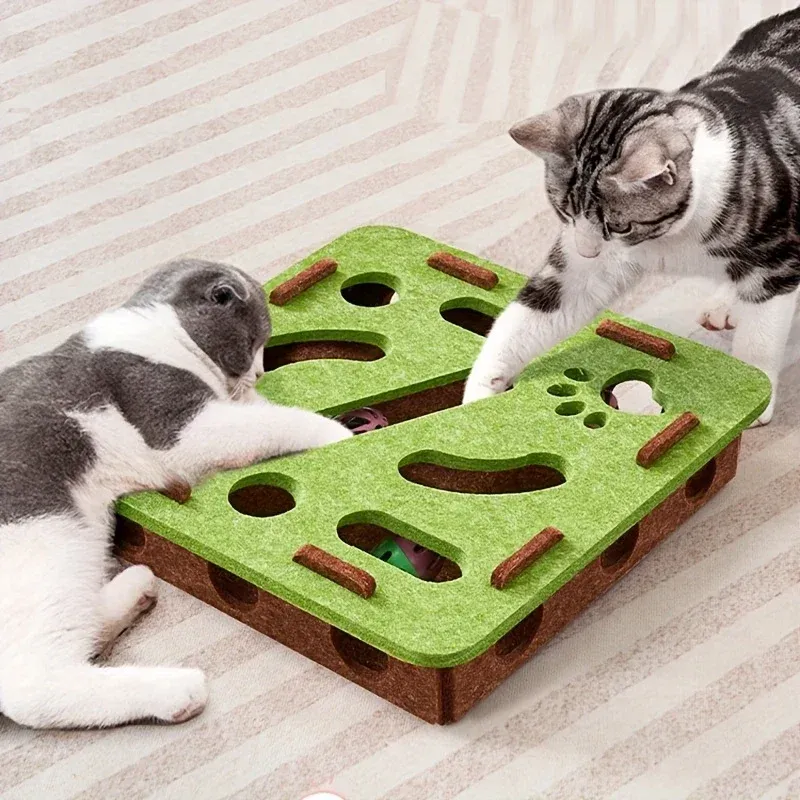 Détail du labyrinthe interactif pour chat