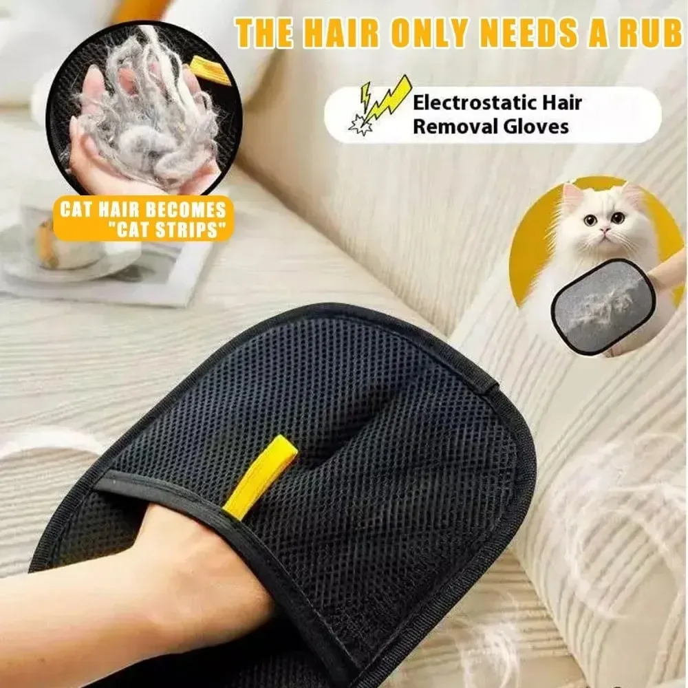 Gant de toilettage pour chat, nettoyage de canapé