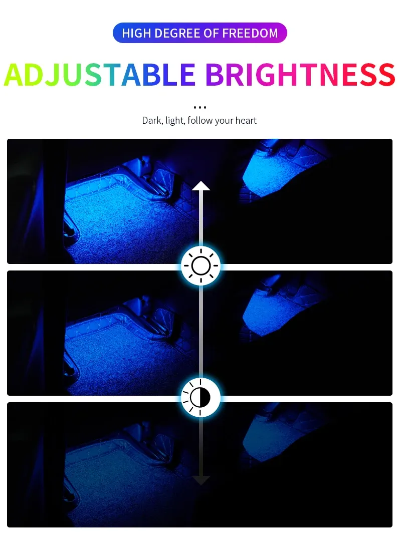 Lumières décoratives installées dans l'habitacle