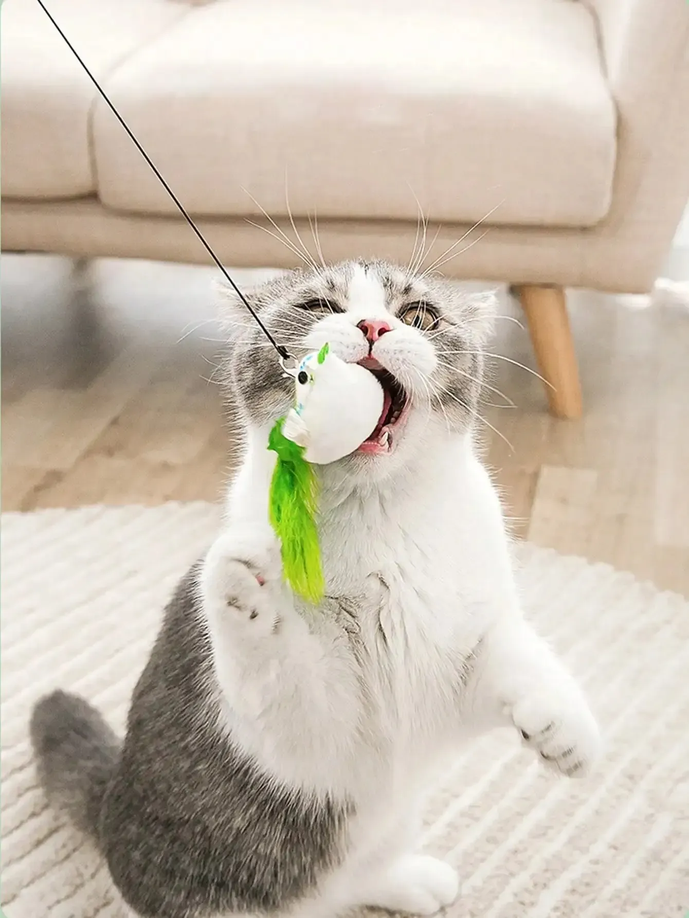 Jouet interactif pour chat à ventouse, simulant un oiseau avec cloche à plumes 3