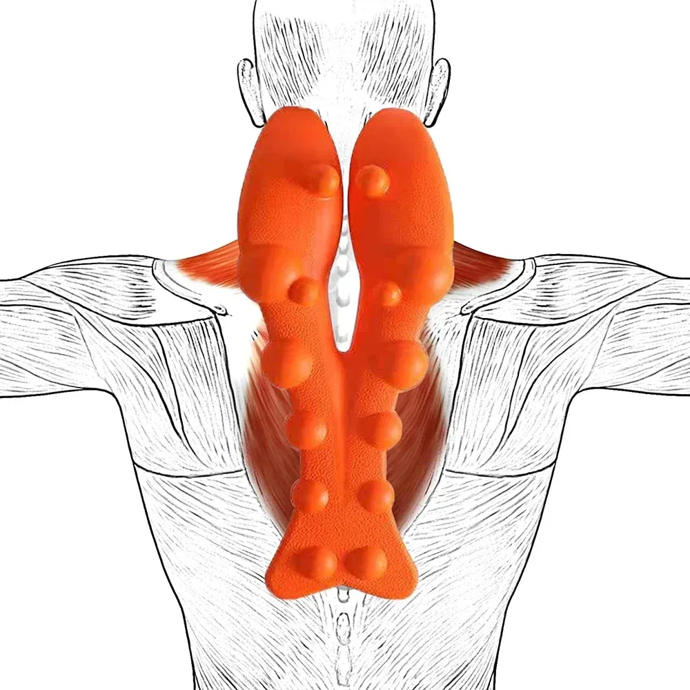 Vue détaillée de l'appareil de traction cervicale
