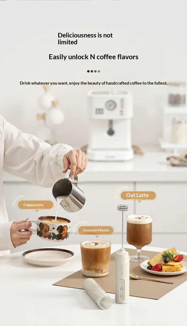 Mini mousseur à lait pour café