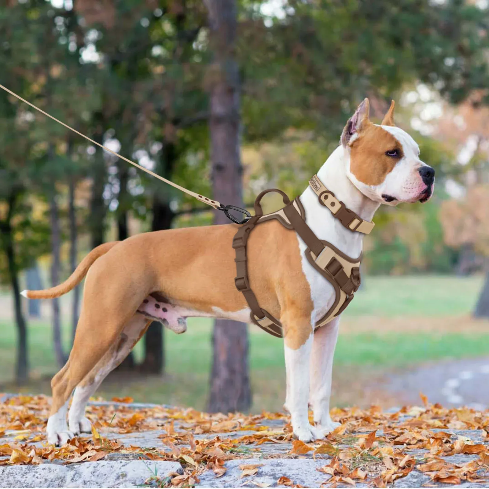 Harnais de luxe pour chien anti-traction, couleur chocolat, réglable, pour petits et grands chiens 6