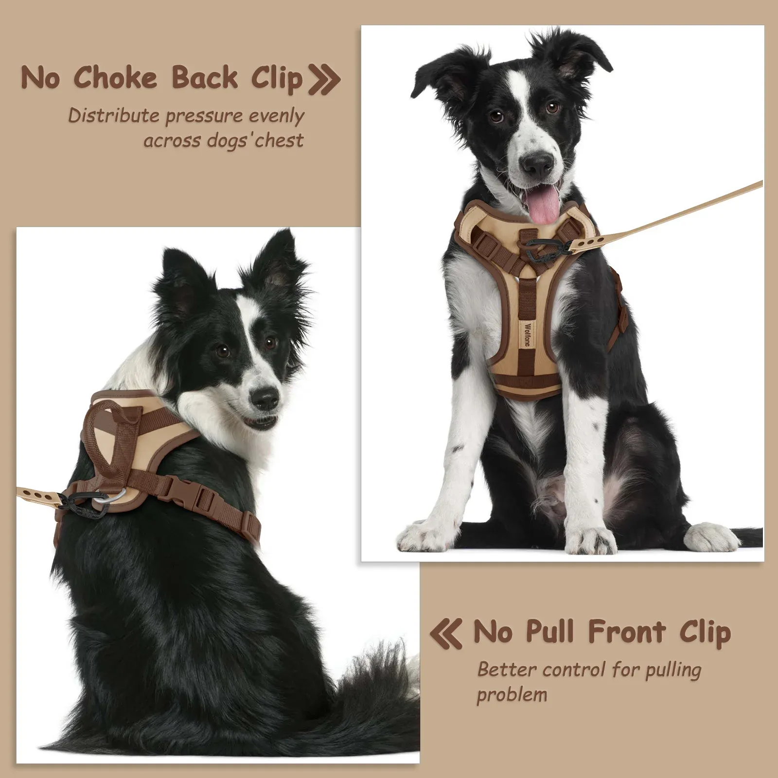Détail du harnais de luxe pour chien