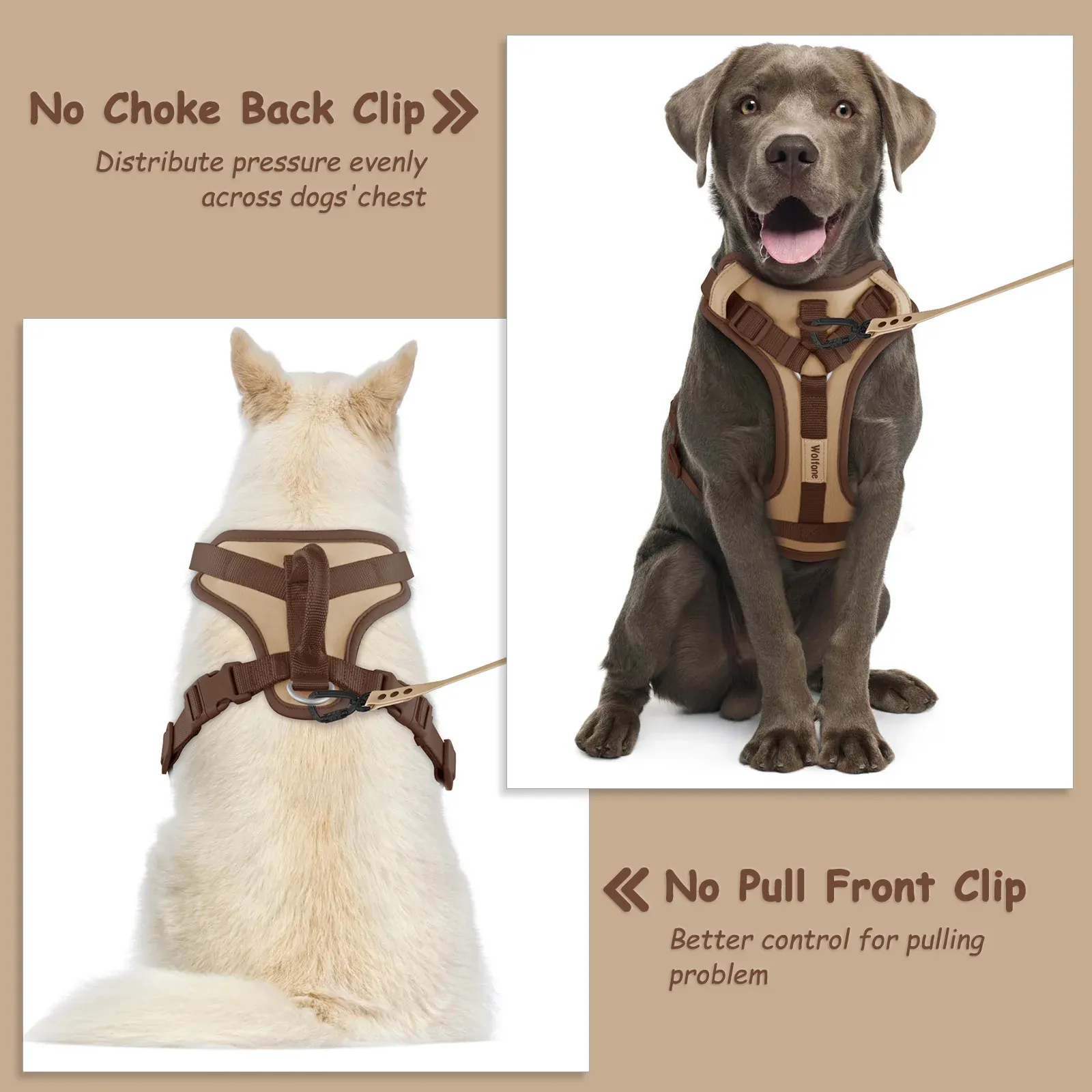 Harnais de luxe pour chien vue d'ensemble