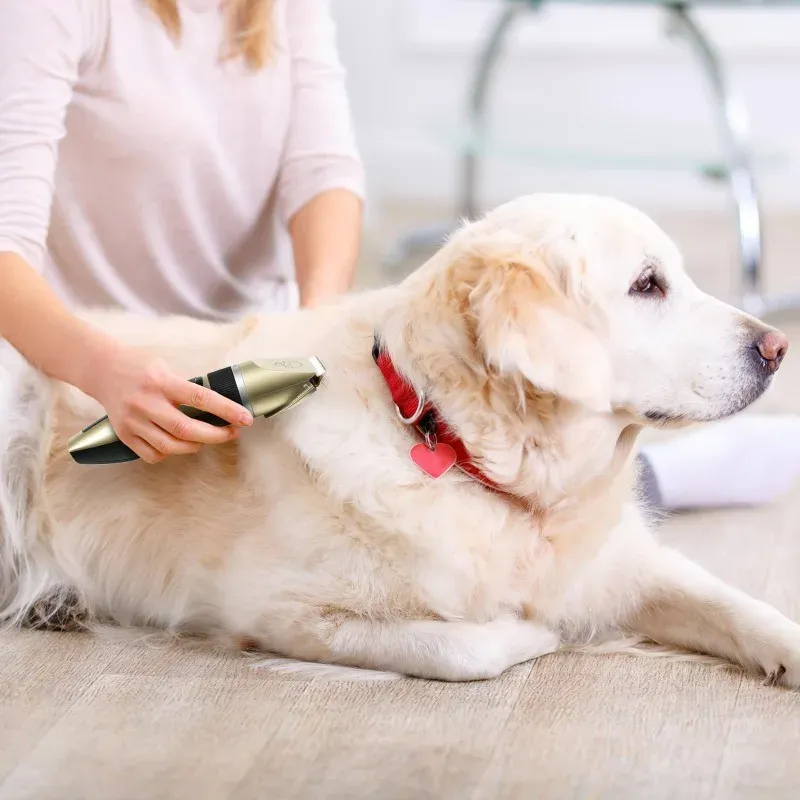 Tondeuse professionnelle sans fil rechargeable pour chiens et chats – Kit de toilettage complet 5