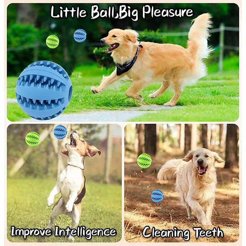 Jouet interactif pour chien, vue de détail