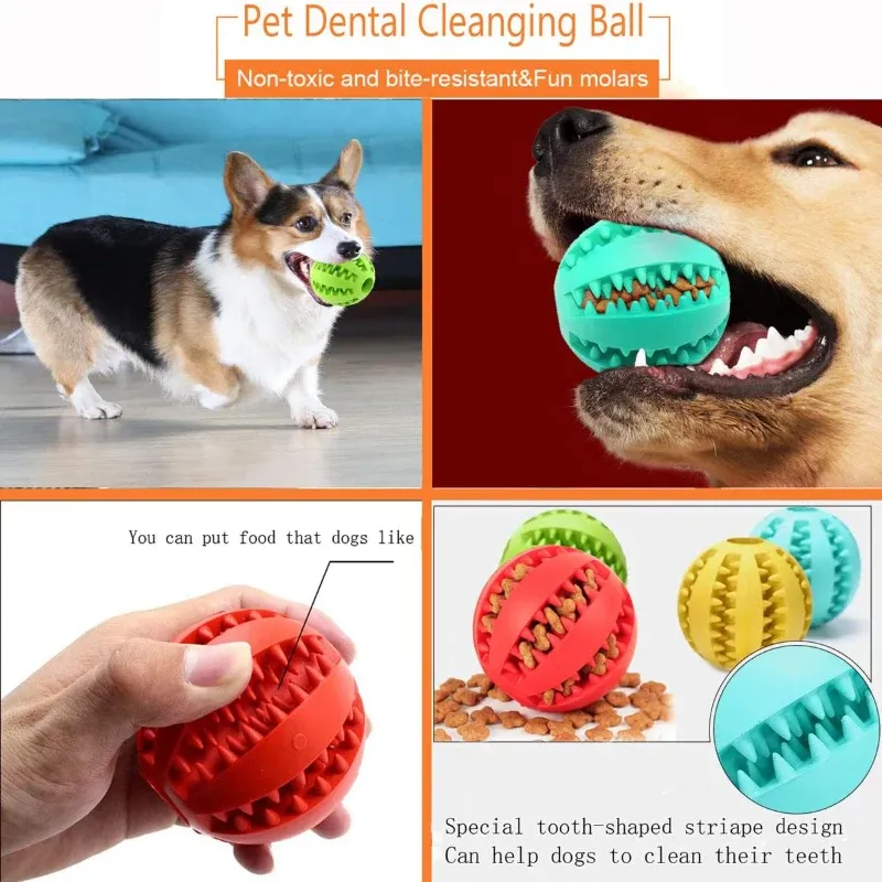 Jouet pour chien en caoutchouc, mise en scène lifestyle
