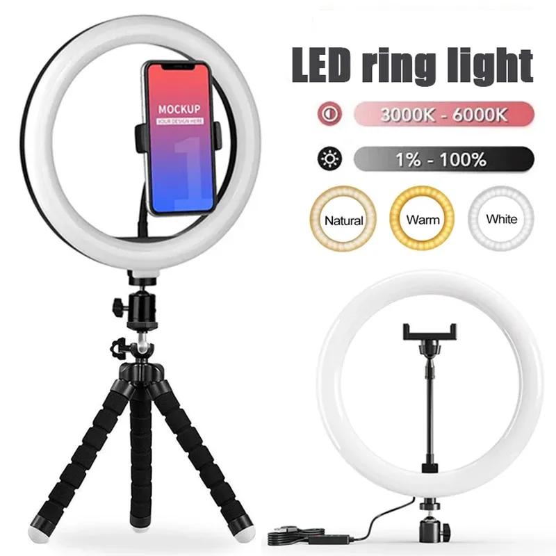 Anneau lumineux LED 10 pouces à intensité variable avec mini trépied pour téléphone, idéal pour selfies et vidéos en direct