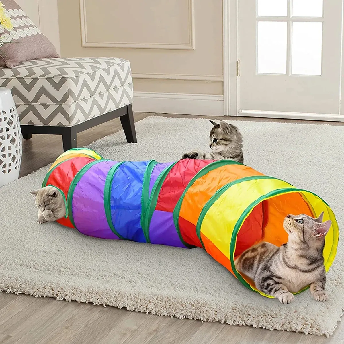 Tunnel pliable pour chat, jouet d'entraînement interactif pour chaton