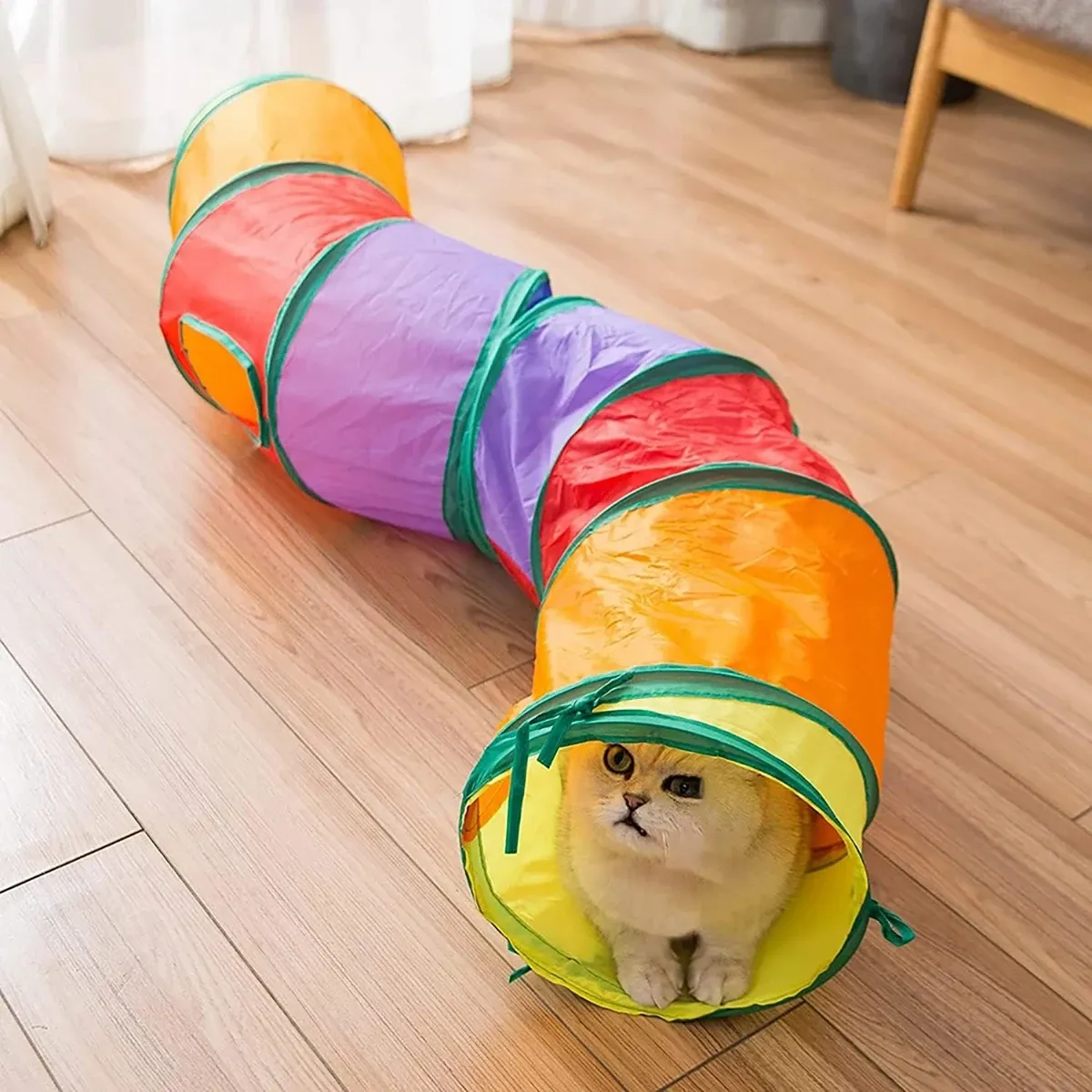 Tunnel pliable pour chat, jouet d'entraînement interactif pour chaton 4