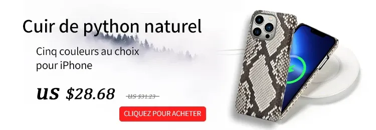 Détails de l'étui en cuir de luxe