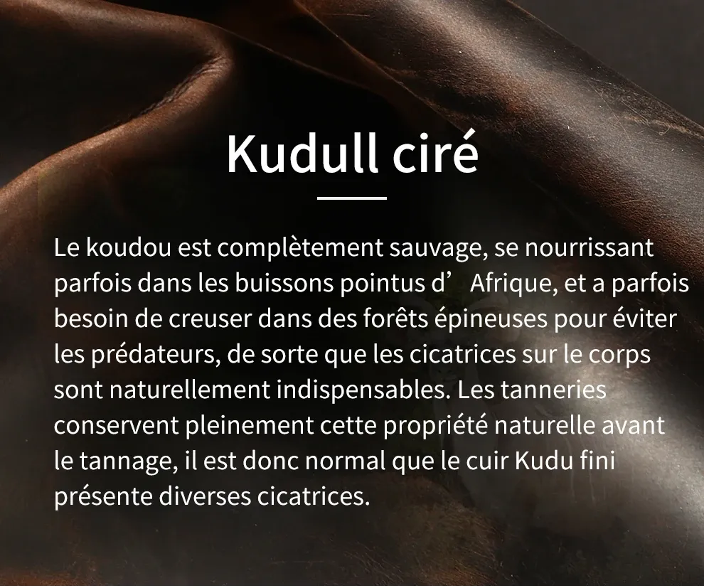Étui en cuir, vue rapprochée