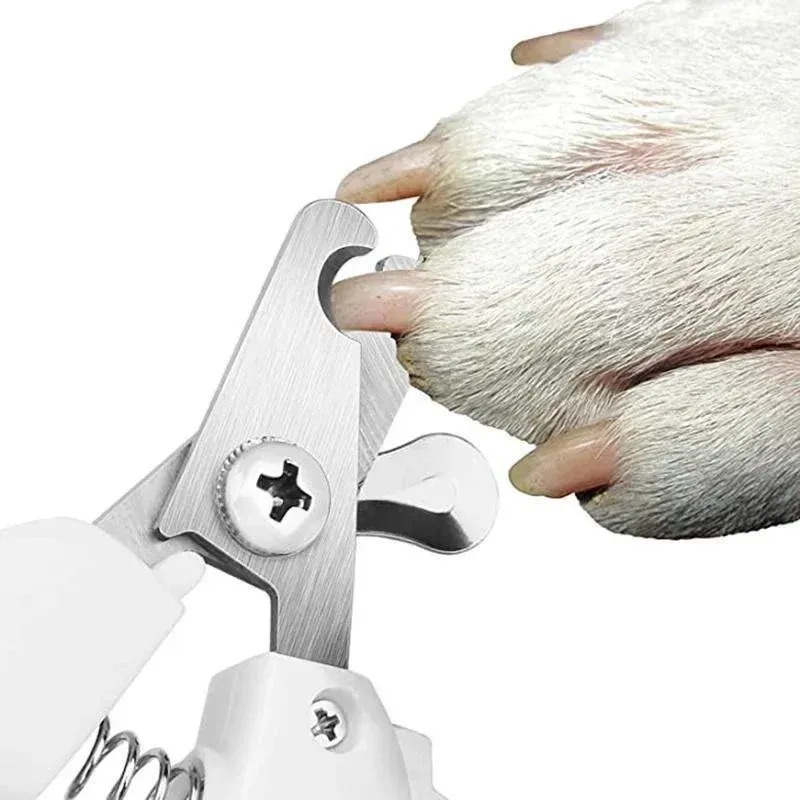 Coupe-ongles pour animaux, lifestyle