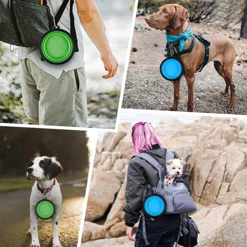 Bol pliable en silicone pour animaux de compagnie, idéal à la maison et en voyage 3