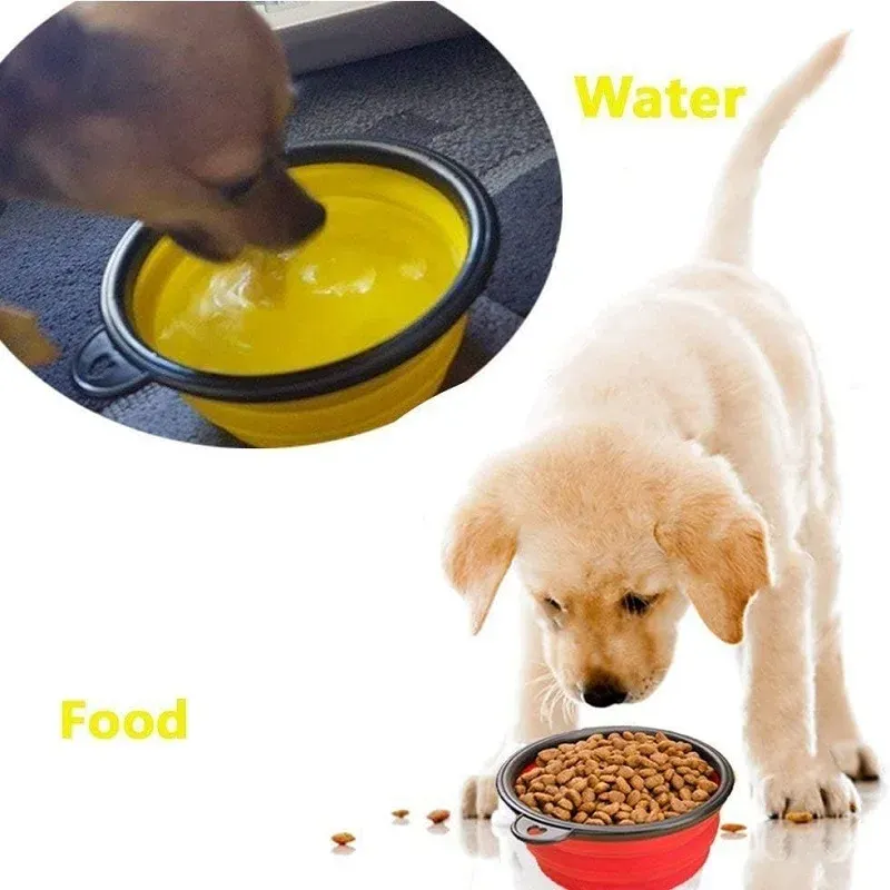 Bol pliable en silicone pour animaux de compagnie, idéal à la maison et en voyage 2