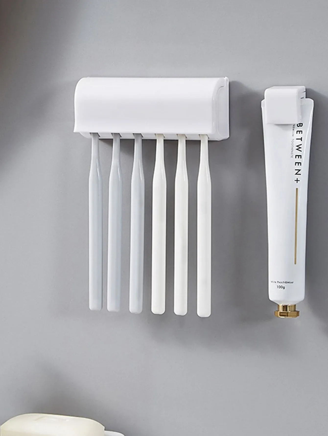 Porte-brosse à dents mural avec couvercle