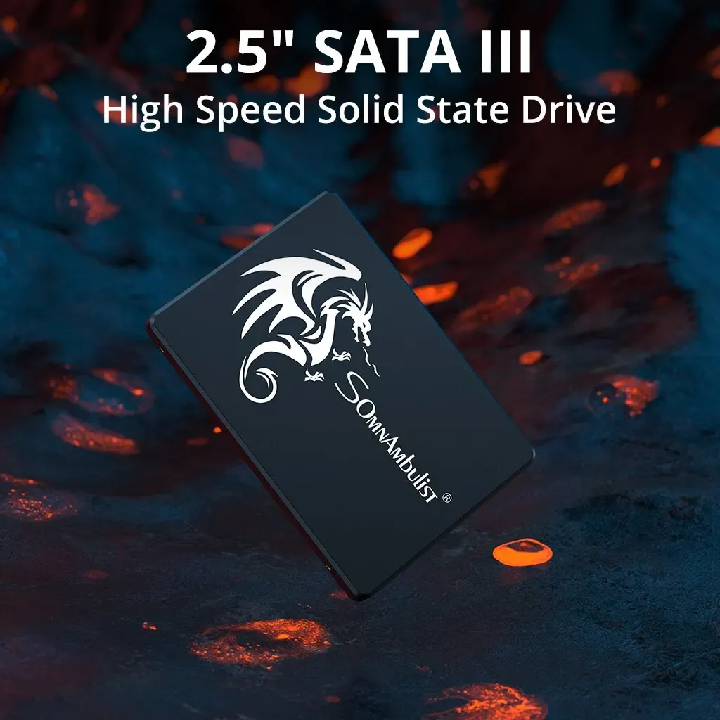SSD interne SATA III 2,5" SomnAmbulist 120 Go, 240 Go, 480 Go, 960 Go pour PC portable 2