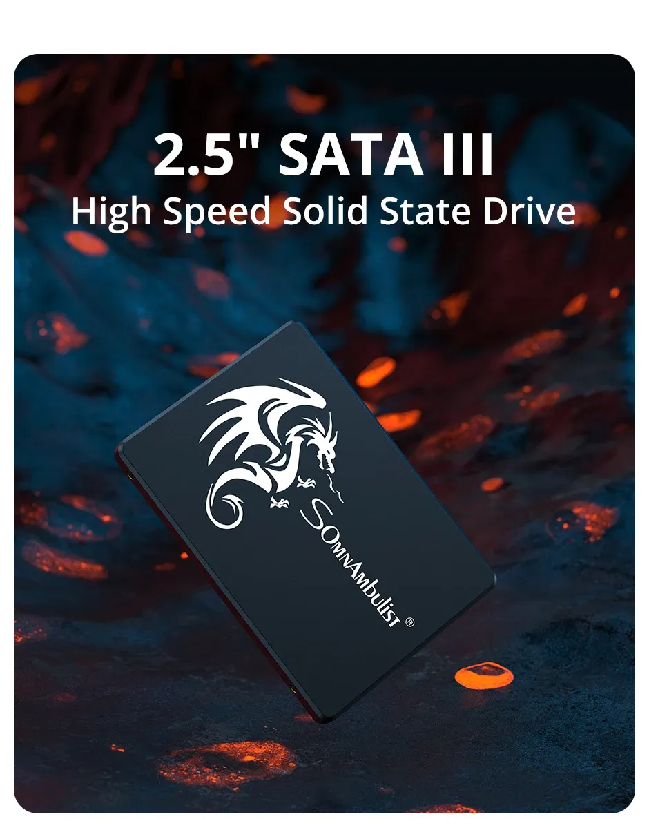Vue d'ensemble du SSD SomnAmbulist