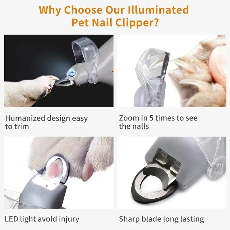 Ciseaux professionnels à griffes pour animaux de compagnie avec lumière LED 3
