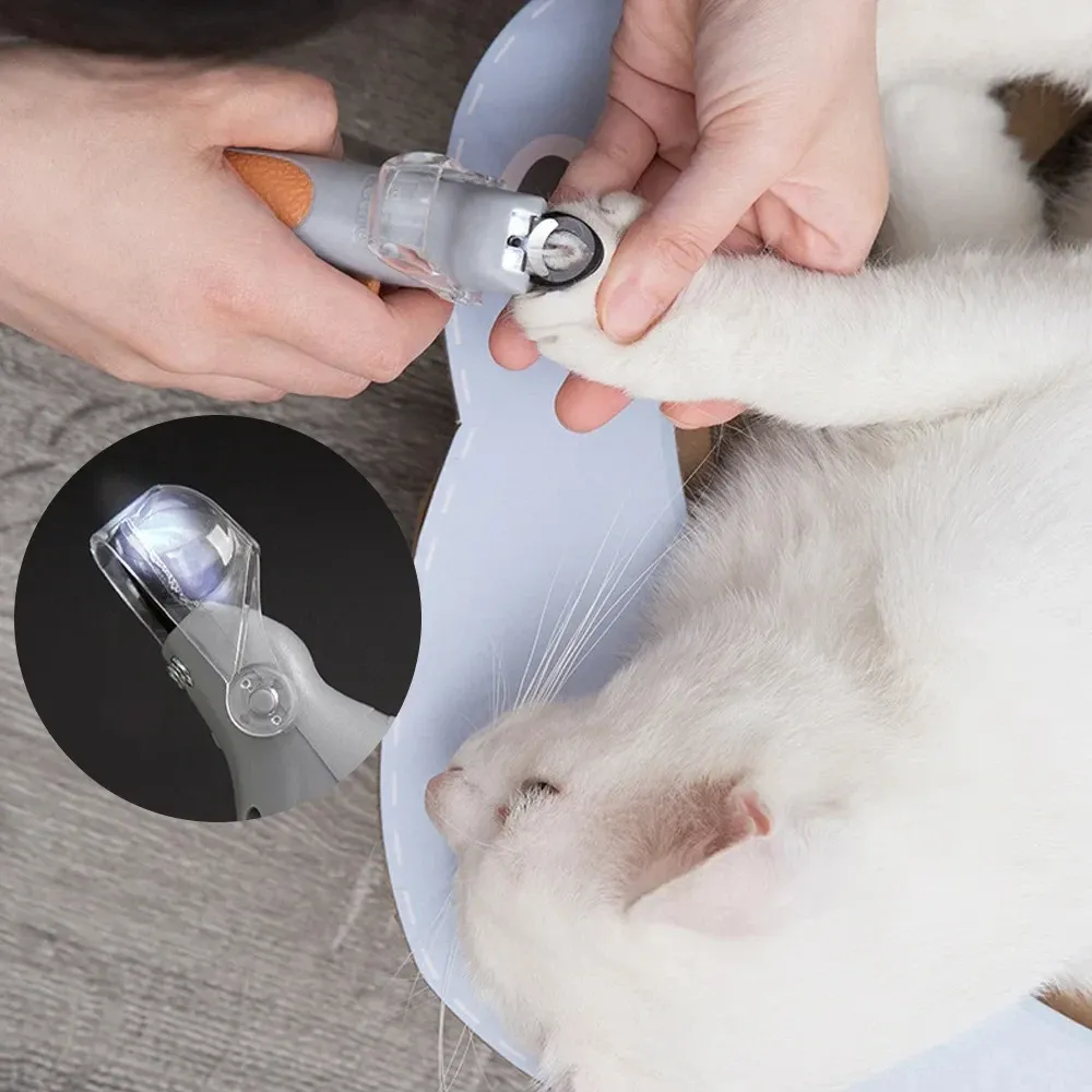 Ciseaux professionnels à griffes pour animaux de compagnie avec lumière LED 5