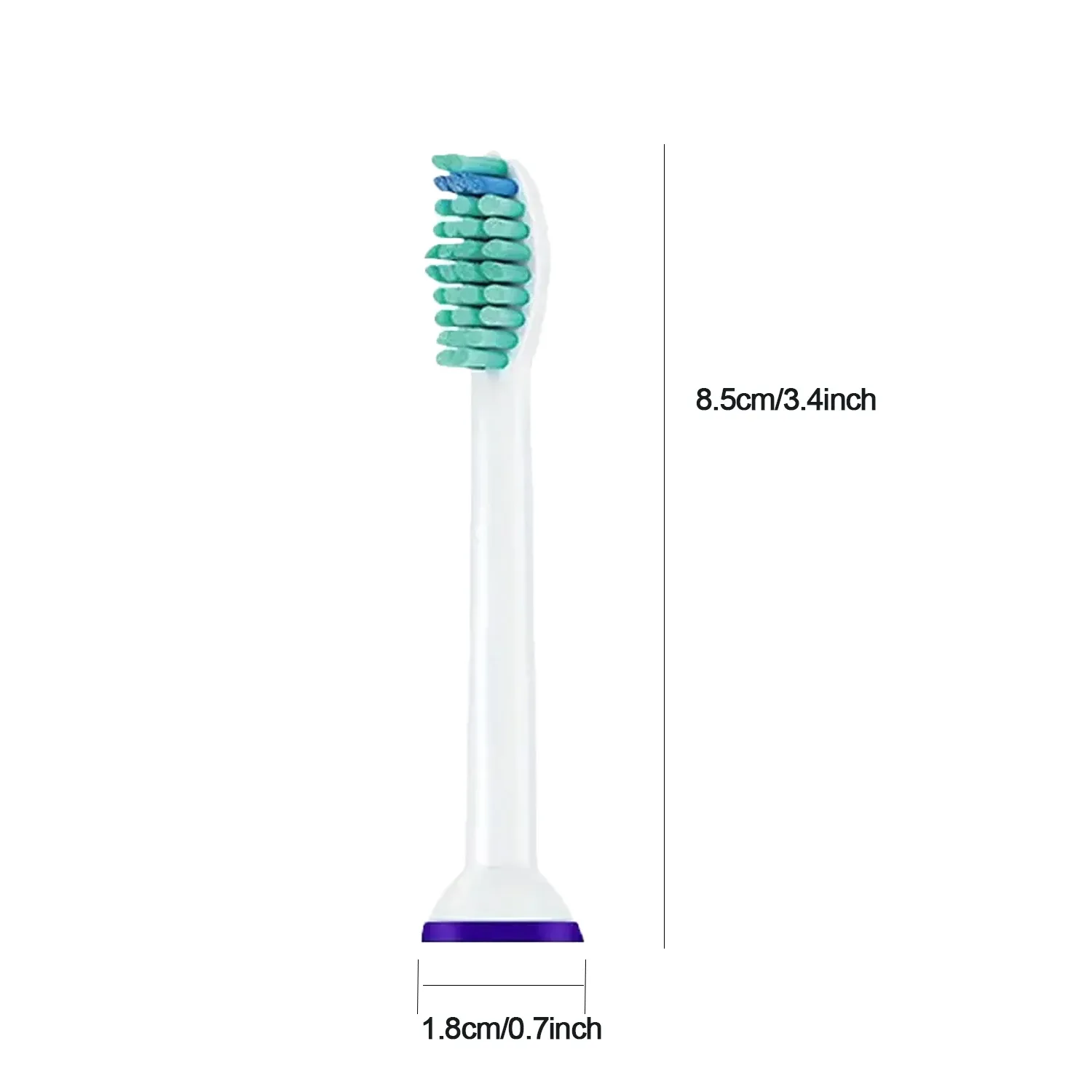 Détail des poils de la tête de brosse de rechange