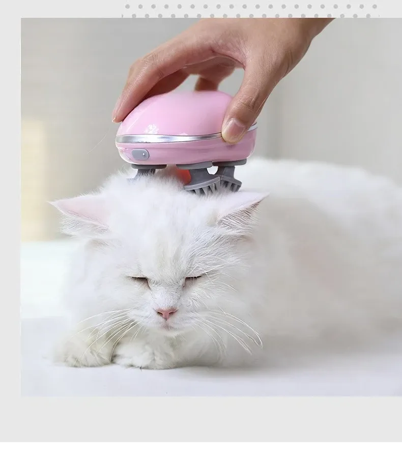 Masseur de tête pour chat, finition soignée
