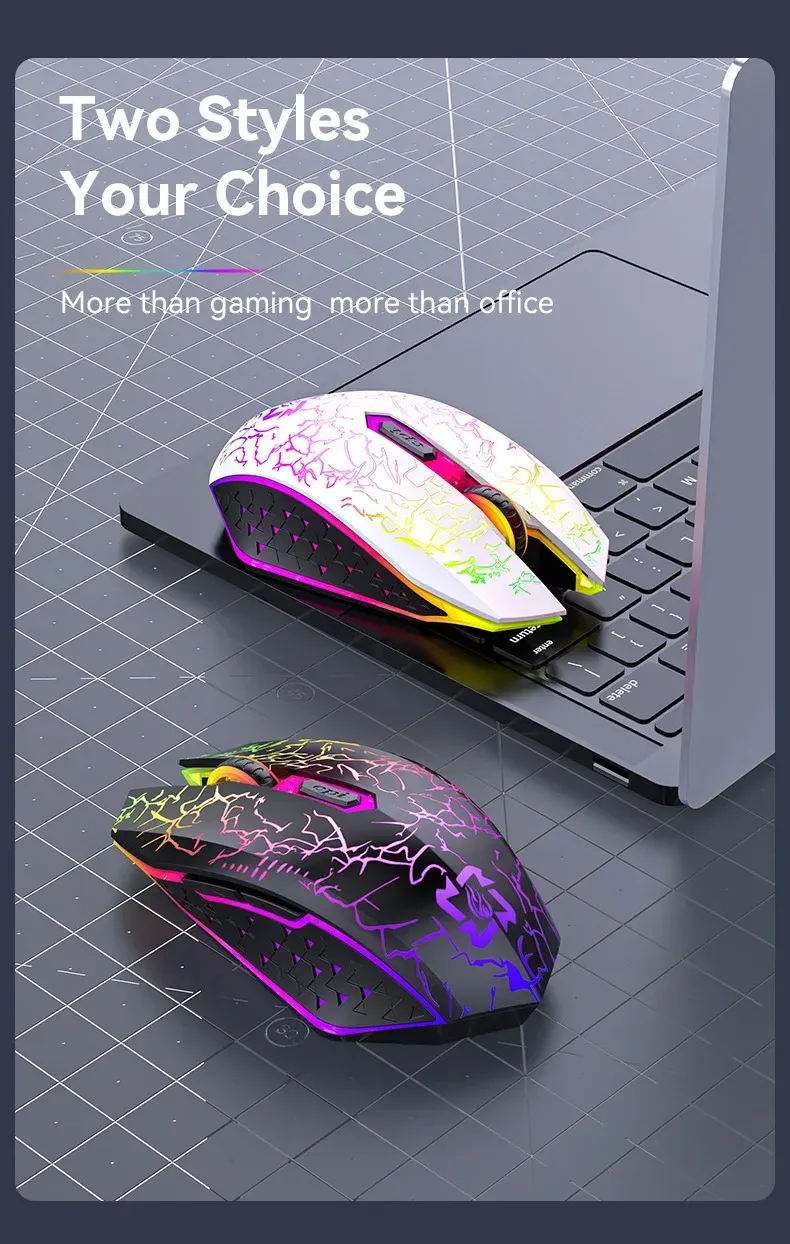 Deux styles de souris disponibles
