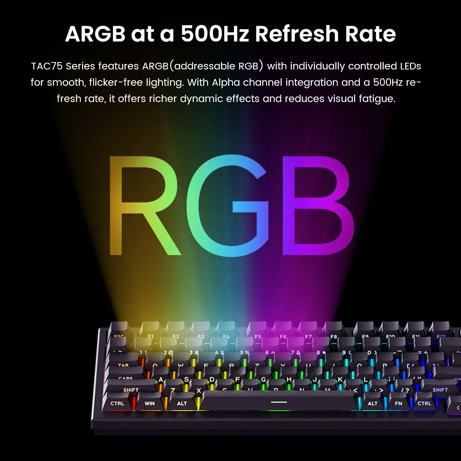 AKKO TAC75 HE Clavier magnétique 75 % à effet Hall, déclenchement rapide 0,005 mm, 8K, RGB, filaire, clavier gaming personnalisable pour gamers 5