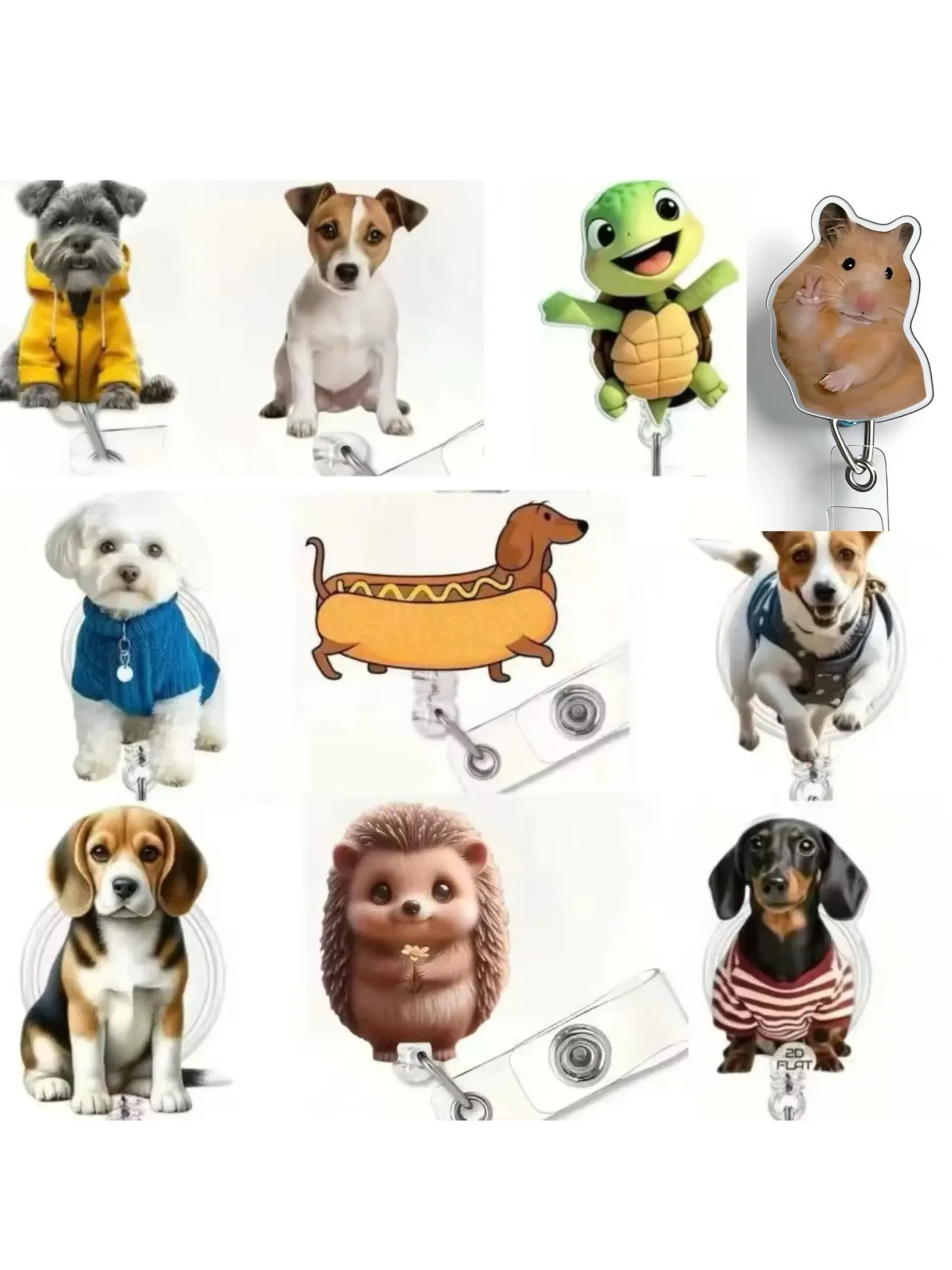 Bobine de badge rétractable pour chien mignon, vue d'ensemble