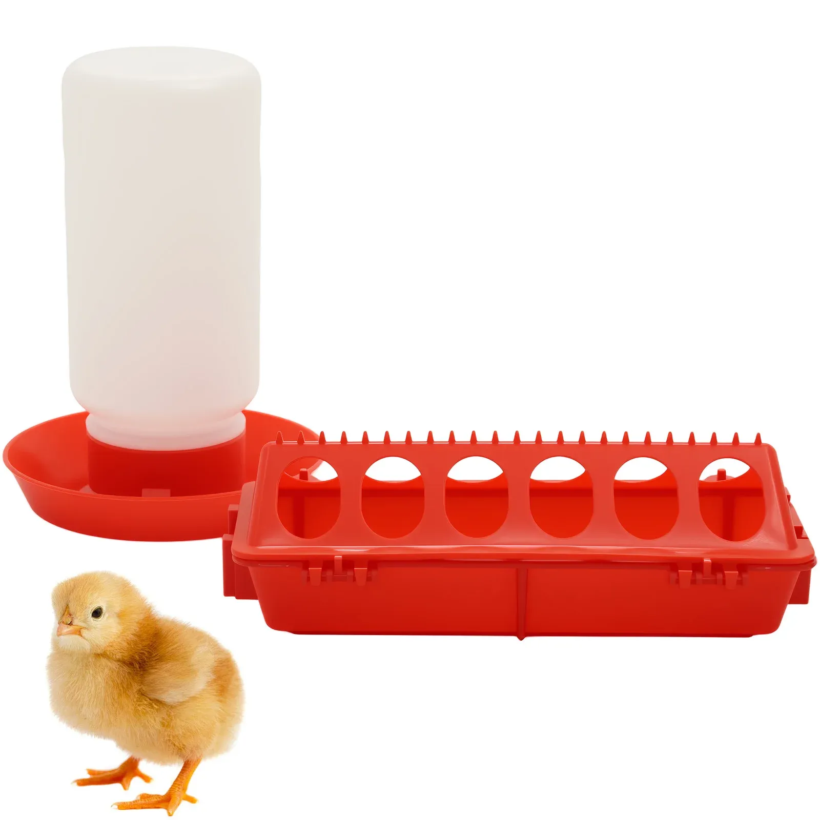Mangeoire automatique à eau pour poussins et cailles