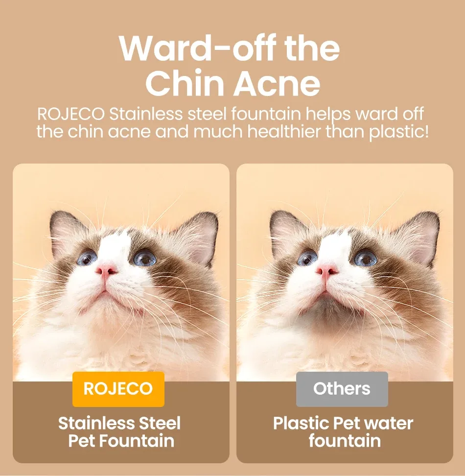 Design épuré de la fontaine à eau pour chat et chien