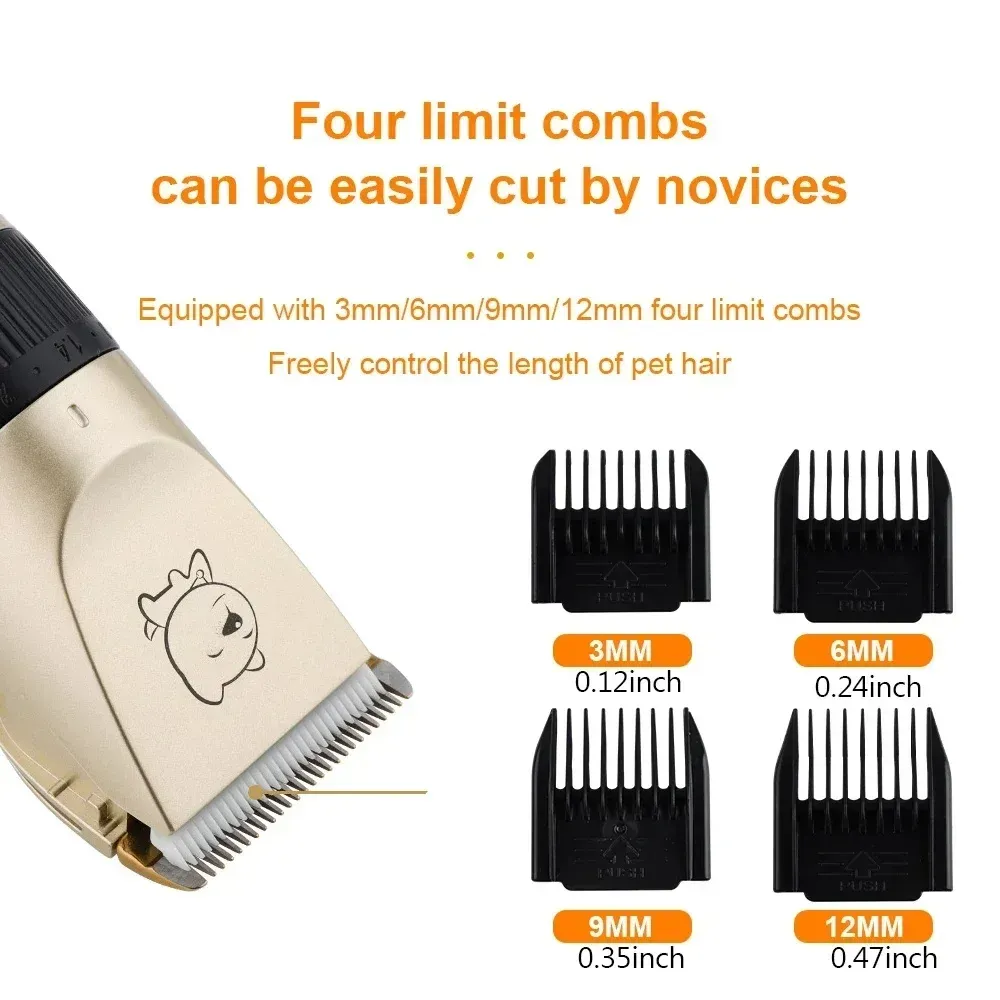 Tondeuse professionnelle pour chien, tondeuse électrique pour animaux de compagnie rechargeable par USB, idéale pour chat 2
