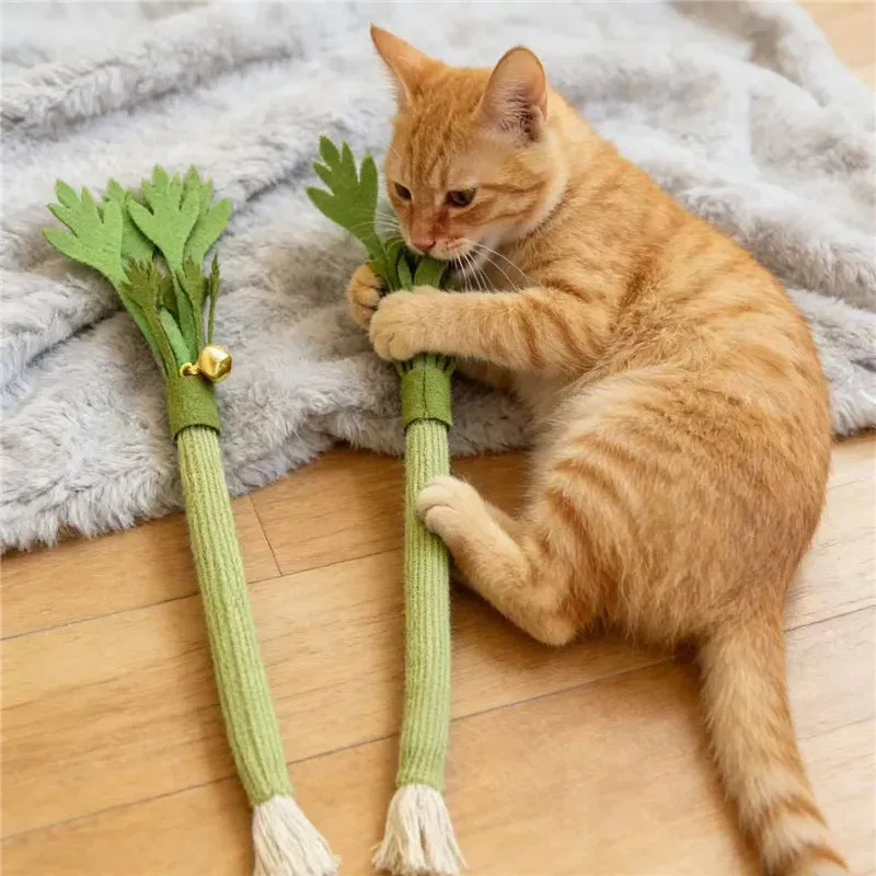 Jouet à mâcher interactif à la cataire pour chats, nettoyage des dents et mastication 2